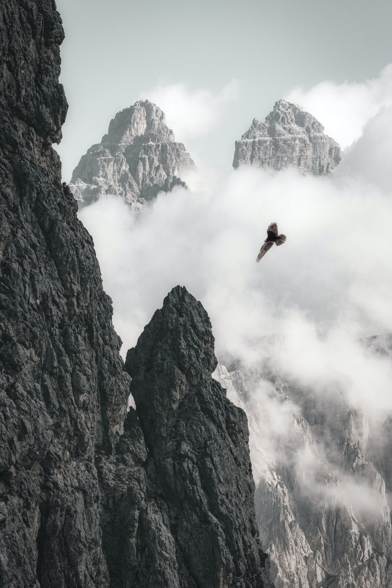 A bird flying over the clouds on top of a mountain.